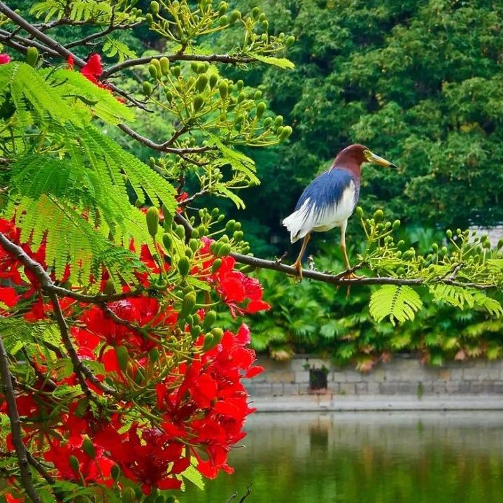 初夏吃什么好？